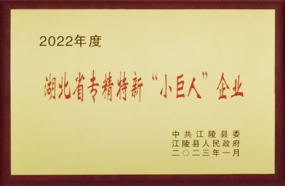 2022年度湖北省专精特新“小巨人”企业