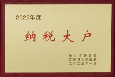 2022年度纳税大户